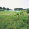 images/Schweden/Schweden 2009/IMG_4403.jpg